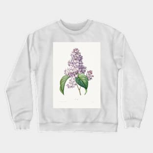 Lilac by Pierre-Joseph Redouté (1759–1840) Crewneck Sweatshirt